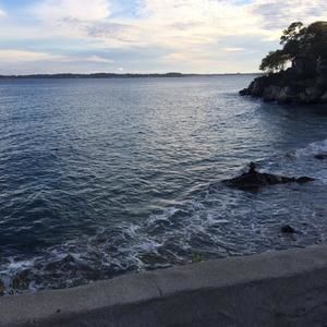 Meet your Posher, Emilia